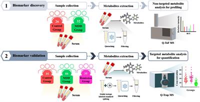 Discovery and validation of acetyl-L-carnitine in serum for diagnosis of major depressive disorder and remission status through metabolomic approach